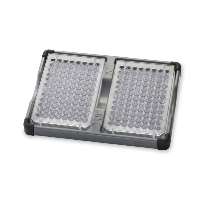 Double Microplate Holder