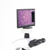 Moticam 1080 BMH - Fully Integrated Documentation System