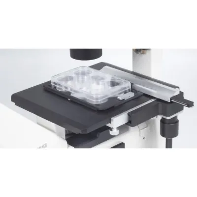 AE31E Inverted Binocular Microscope