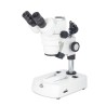 SMZ-143-N2GG Stereo Trinocular Microscope