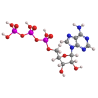 ATP