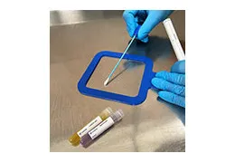 Best Practices for Surface Swabbing in Environmental Monitoring